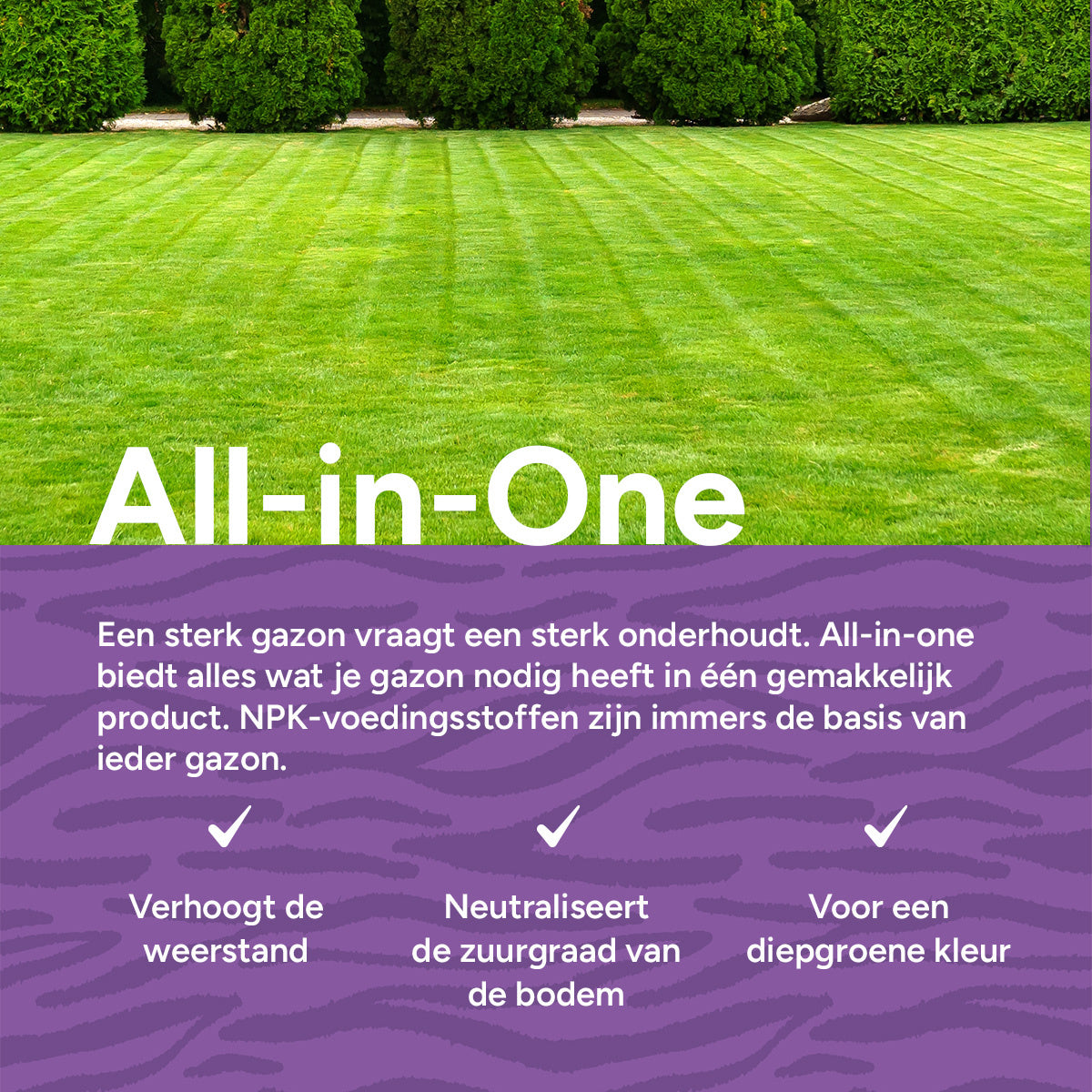MRS Seeds & Mixtures All-in-One - Gazonmest met kalk | 20KG-500m2 [nl]