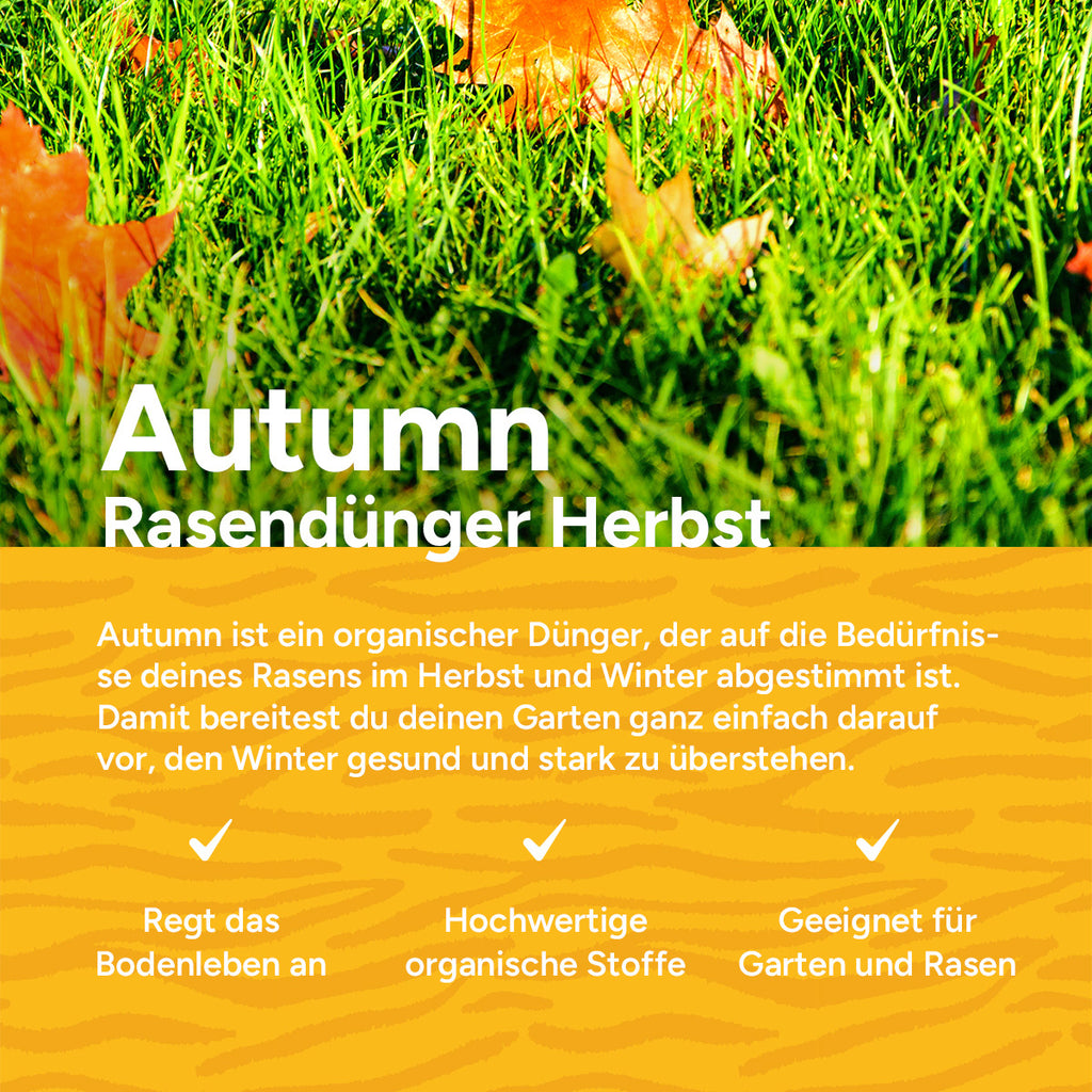MRS Seeds & Mixtures Autumn - Organischer Rasendünger Herbst | 18KG-360m² [de]