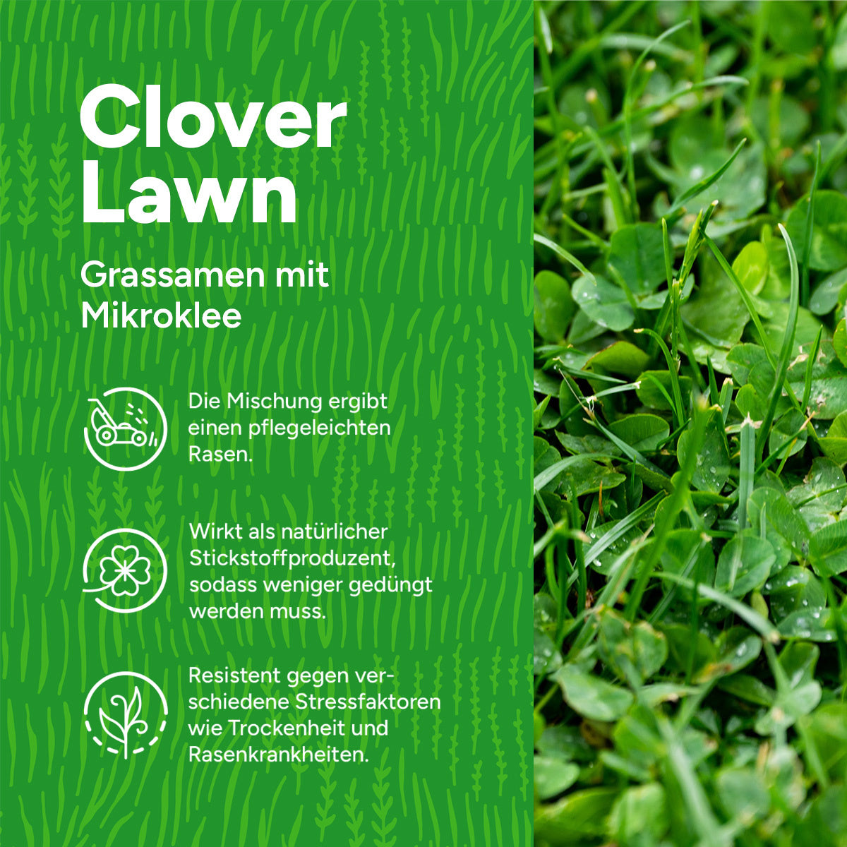 MRS Seeds & Mixtures Clover Lawn - Grassamen mit Mikroklee [de]