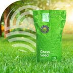 MRS Seeds & Mixtures Clover Lawn - Grassamen mit Mikroklee [de]