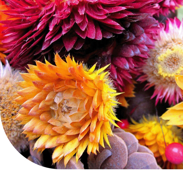 Trockenblumen-Mischung