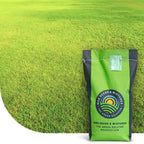 MRS Seeds & Mixtures Dry & Strong - Graszaad | Versla droogte!