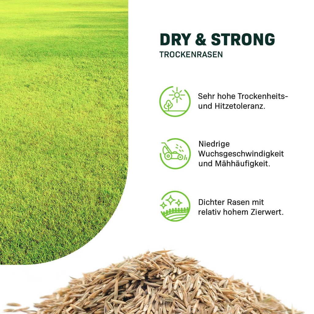 MRS Seeds & Mixtures Dry & Strong - Trockenrasen [de]