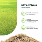 MRS Seeds & Mixtures Dry & Strong - Trockenrasen [de]