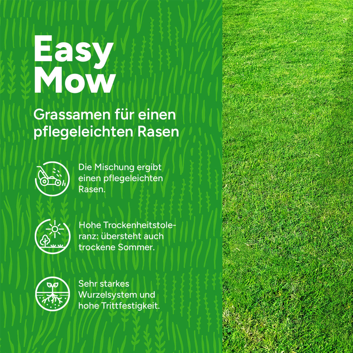 MRS Seeds & Mixtures EasyMow - Grassamen | Pflegeleicht [de]