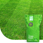 MRS Seeds & Mixtures EasyMow - Graszaad | Weinig onderhoud