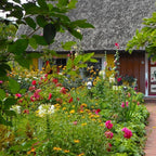 MRS Seeds & Mixtures Englischer Cottagegarten Blumenmischung [de]