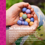 MRS Seeds & Mixtures Flower Bombs - Samenbomben mix - Frohe Feiertage! [de]