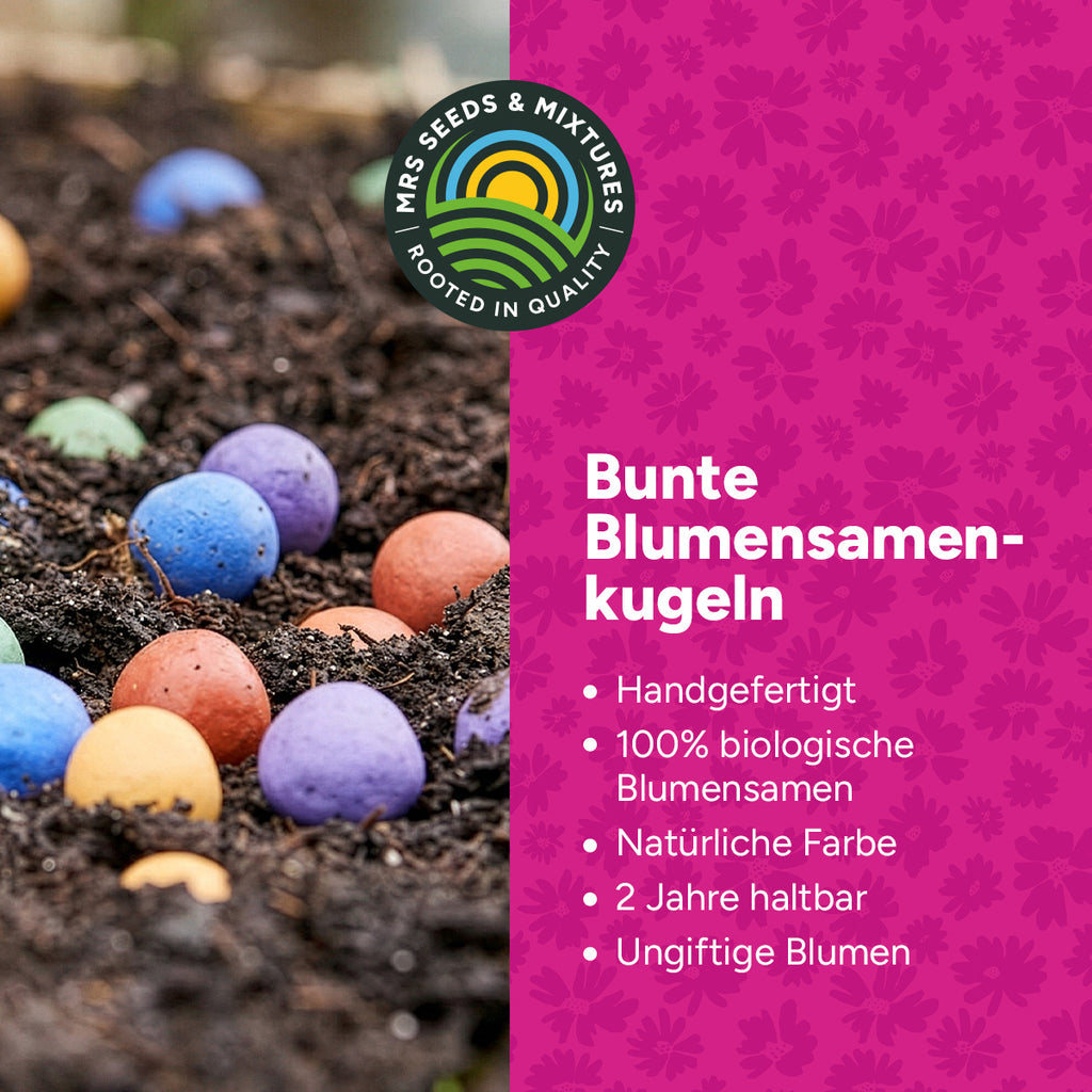 MRS Seeds & Mixtures Flower Bombs - Zaadbommen mix - Originals [de]
