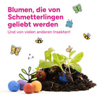 MRS Seeds & Mixtures Flower Bombs - Zaadbommen mix - Originals [de]
