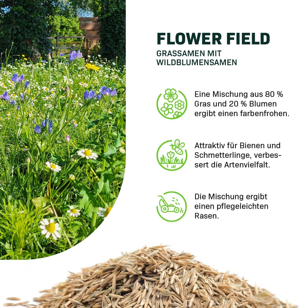 MRS Seeds & Mixtures Flower Field - Grassamen mit Wildblumensamen [de]