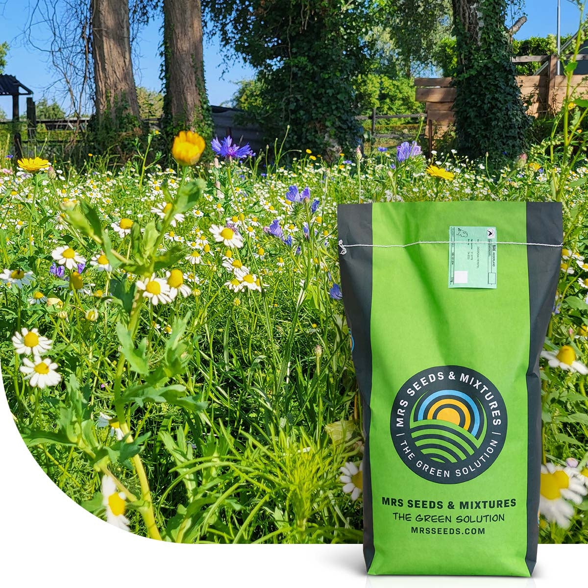 MRS Seeds & Mixtures Flower Field - Graszaad met bloemenmix