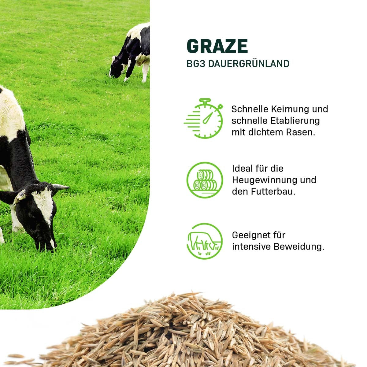 MRS Seeds & Mixtures Graze -  BG3 Dauergrünland 15KG [de]