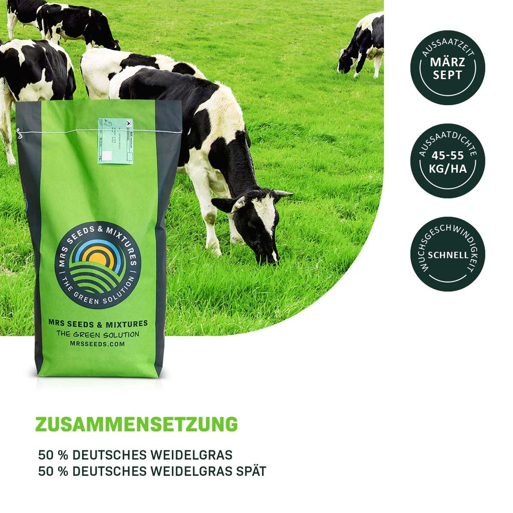 MRS Seeds & Mixtures Graze -  BG3 Dauergrünland 15KG [de]
