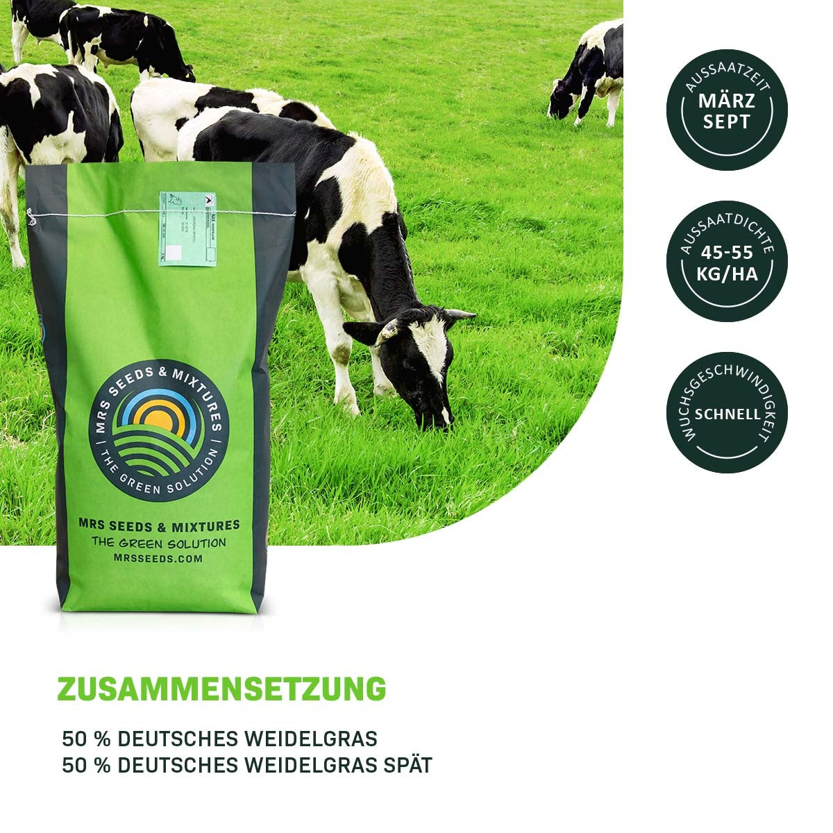 MRS Seeds & Mixtures Graze -  BG3 Dauergrünland 15KG [de]