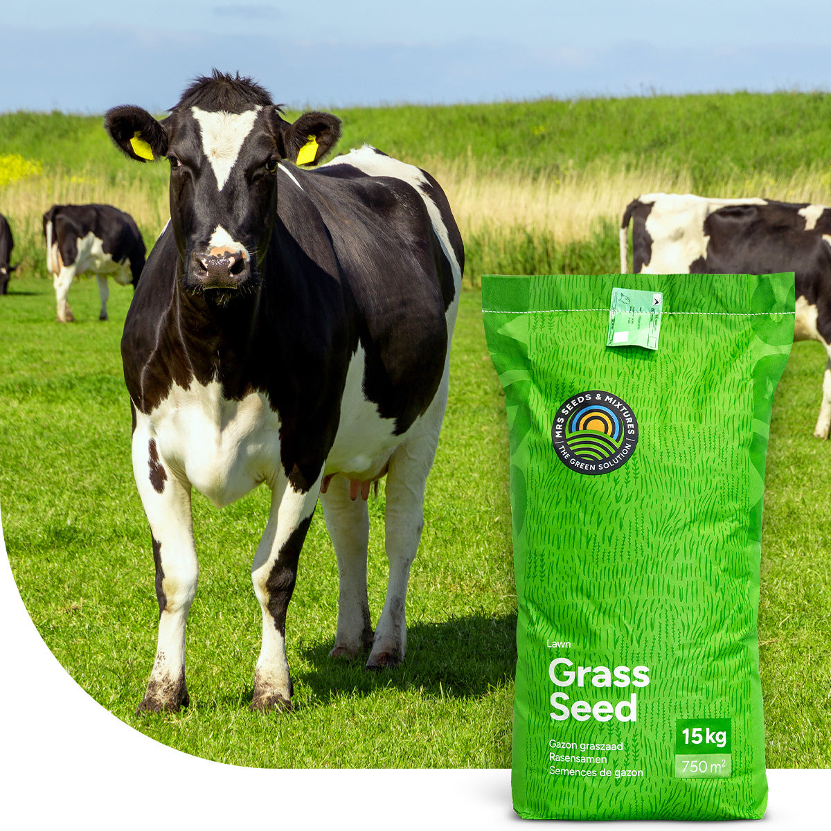 MRS Seeds & Mixtures Graze - BG4 | Blijvend Grasland 15KG