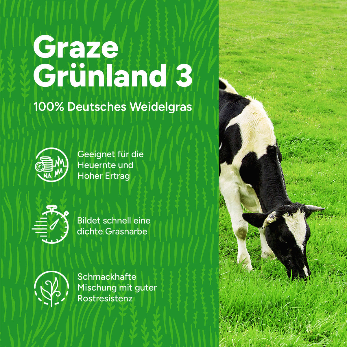 MRS Seeds & Mixtures Graze - Grünland 3 | Beweiden und Mähen [de]
