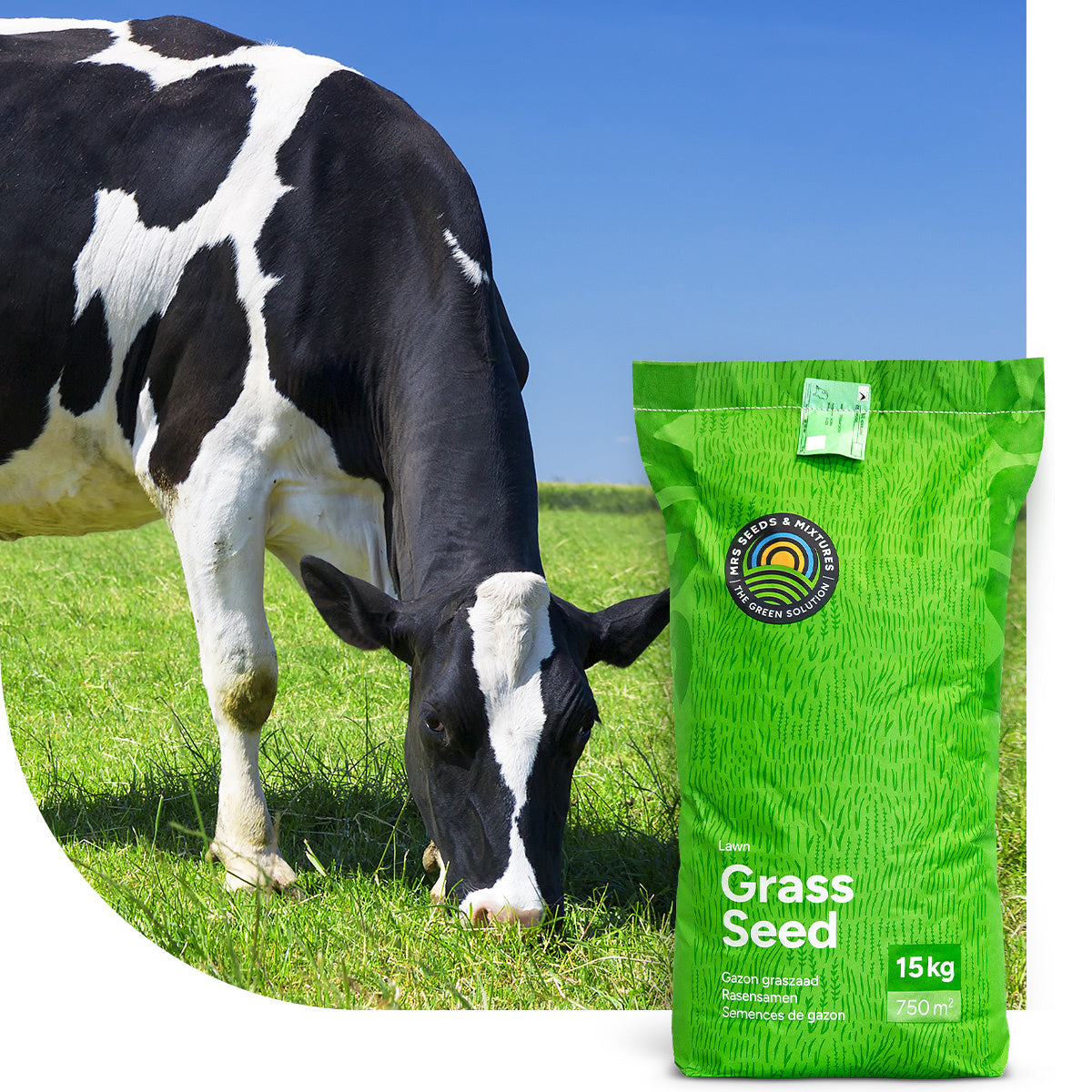 MRS Seeds & Mixtures Graze - Rotation | Rotatiemix 15 kg