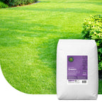 MRS Seeds & Mixtures Green+ Extra Groen & Anti Mos | 20KG-500m2