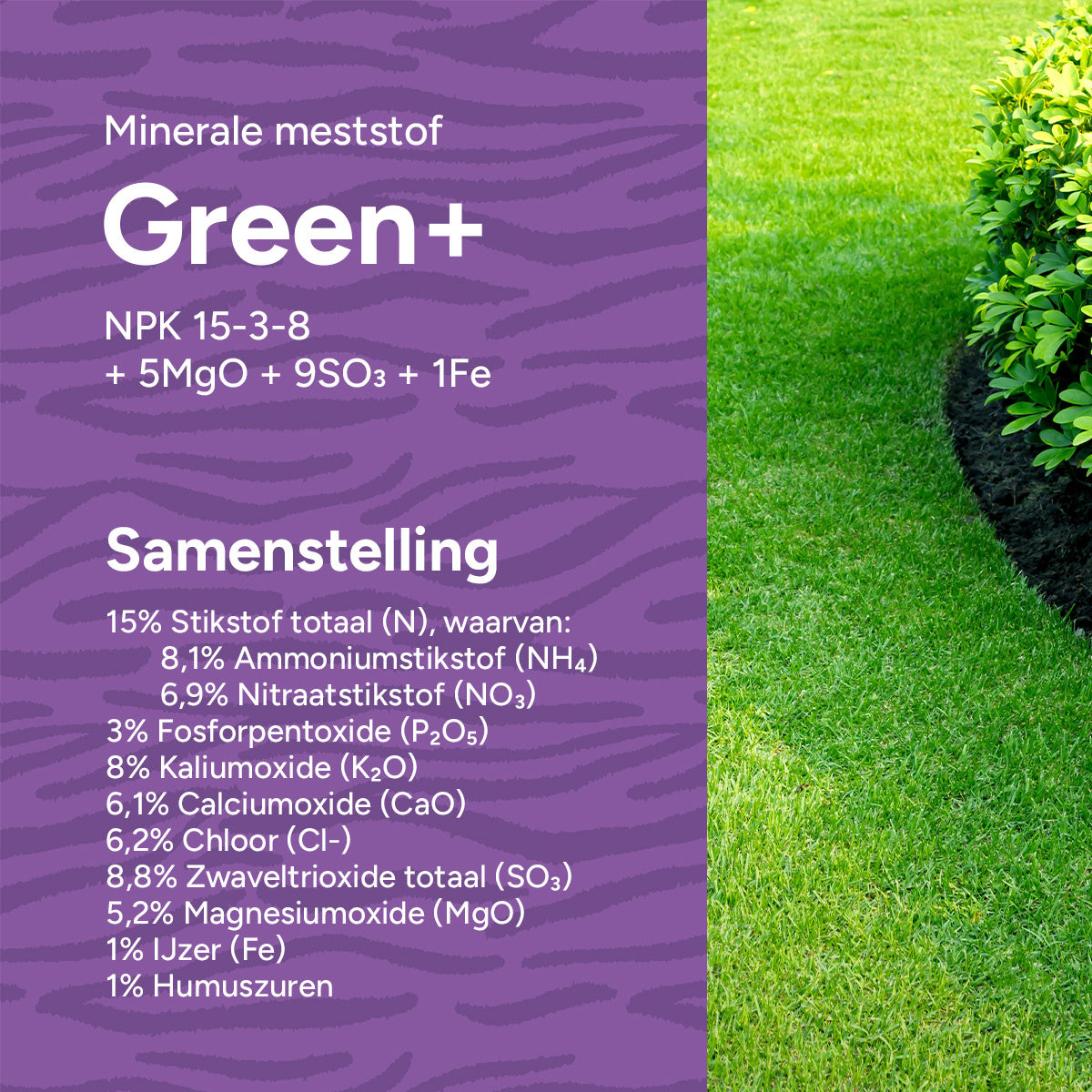 MRS Seeds & Mixtures Green+ Extra Groen & Anti Mos | 20KG-500m2 [nl]