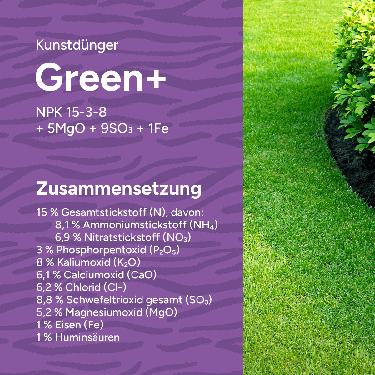 MRS Seeds & Mixtures Green+  Extra Grün + Anti Moos | 20KG-500m2 [de]