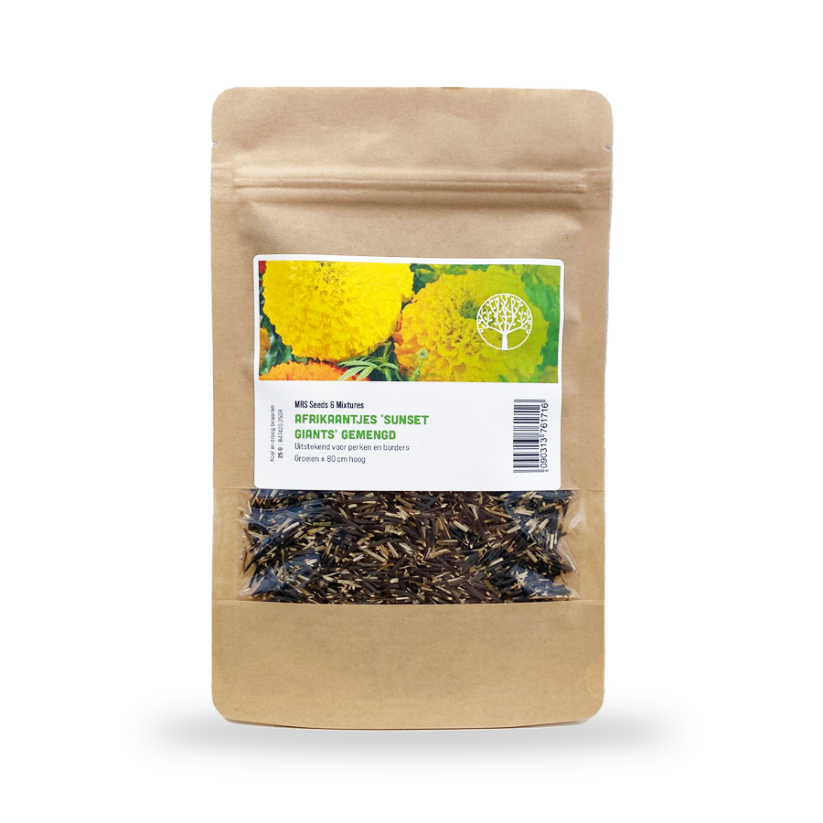 MRS Seeds & Mixtures Hoge Afrikaantjes 'Sunset Giants'