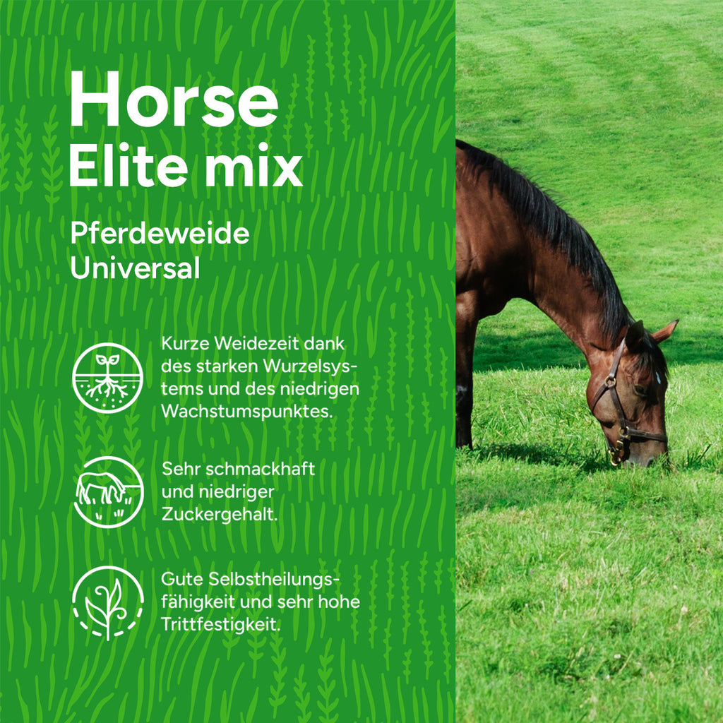 MRS Seeds & Mixtures Horse - Elite mix | Pferdeweide Universal [de]