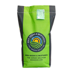 MRS Seeds & Mixtures Italiaans Raaigras - Lolium multiflorum