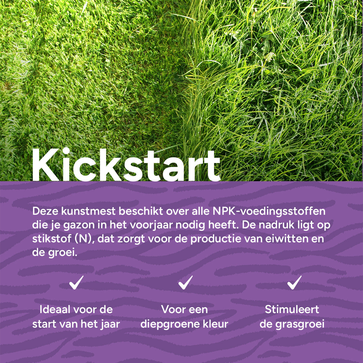 MRS Seeds & Mixtures Kickstart - Gazonmest voorjaar | 20KG-500m2 [nl]
