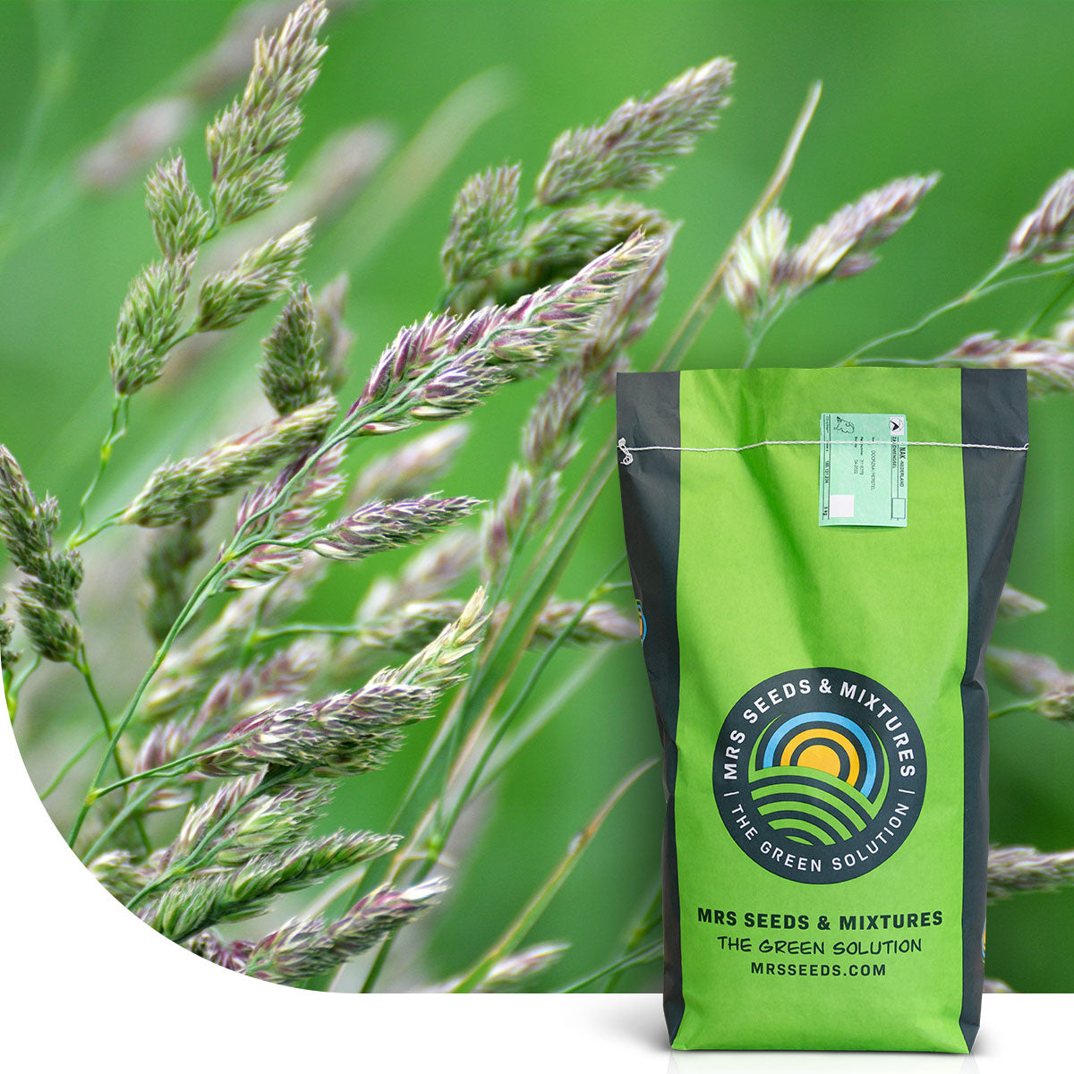 MRS Seeds & Mixtures Kropaar - Dactylis glomerata