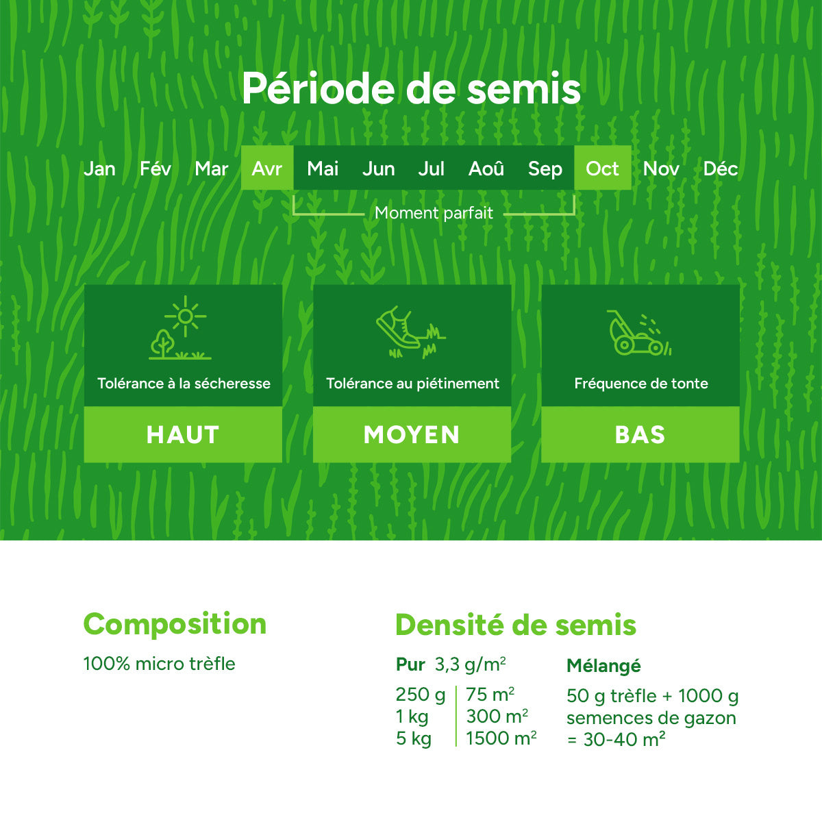 MRS Seeds & Mixtures Micro-trèfle – Trèfle de pelouse [fr]