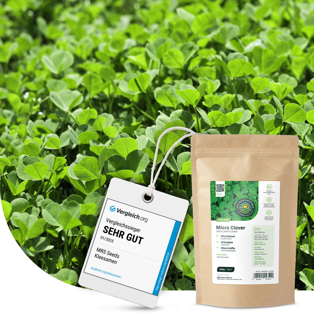 MRS Seeds & Mixtures Mikroklee - Rasenklee [de]