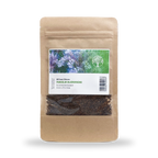 MRS Seeds & Mixtures Phacelia Bijenvriend - Phacelia tanacetifolia