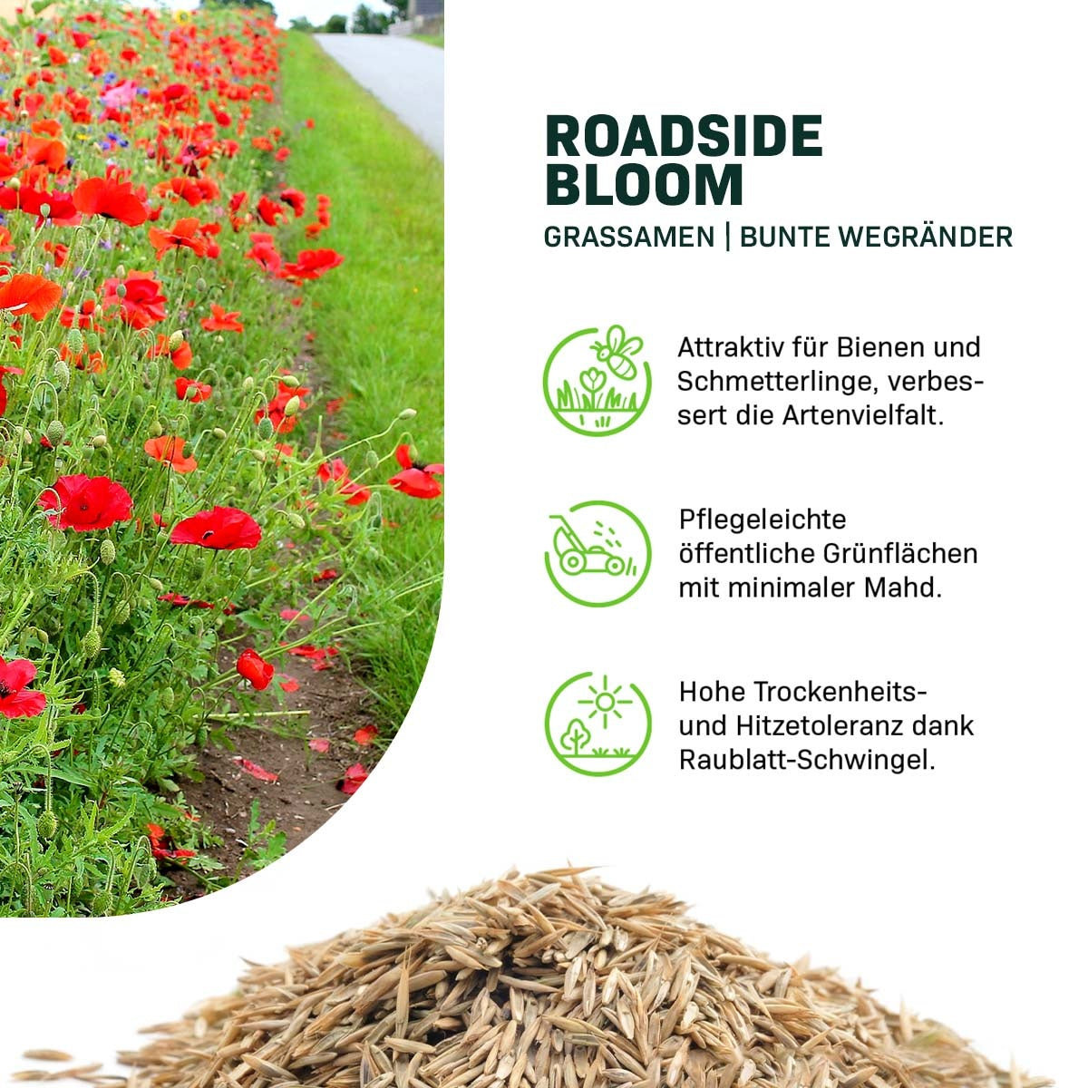 MRS Seeds & Mixtures Roadside Bloom - Grassamen | Farbenfrohe Wegränder [de]