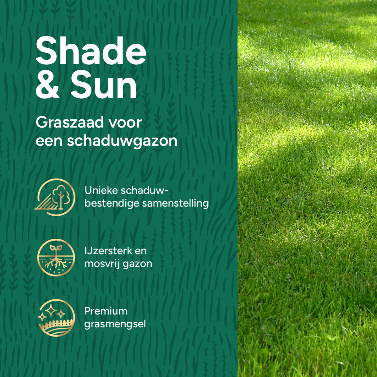 MRS Seeds & Mixtures Shade & Sun Premium - Graszaad schaduwgazon 10KG [nl]