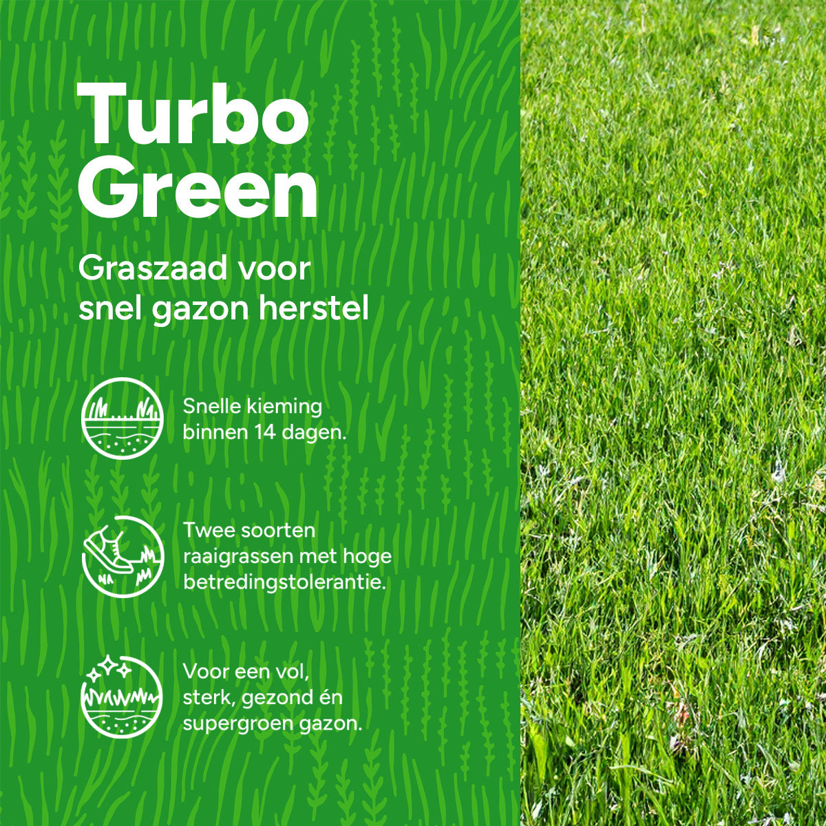 MRS Seeds & Mixtures Turbo Green - Graszaad | Snel gazon herstel [nl]