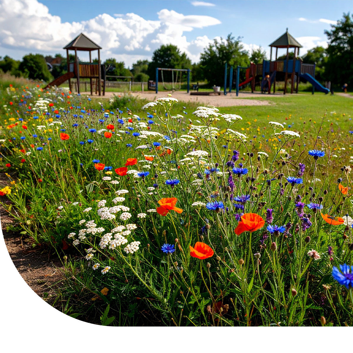 MRS Seeds & Mixtures Typ S1 - Spielplatz Heimische Naturmischung [de]