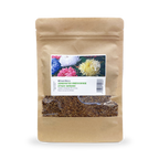 MRS Seeds & Mixtures Zomeraster 'Amerikaanse struik' - gemengd