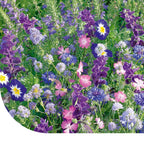 MRS Seeds & Mixtures Zomerbloemen -  Blauwe Tinten Mix