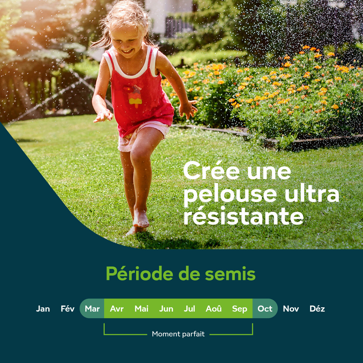 Sowgood Semences de gazon pour sport et jeux 10 kg - 500 m² [fr]